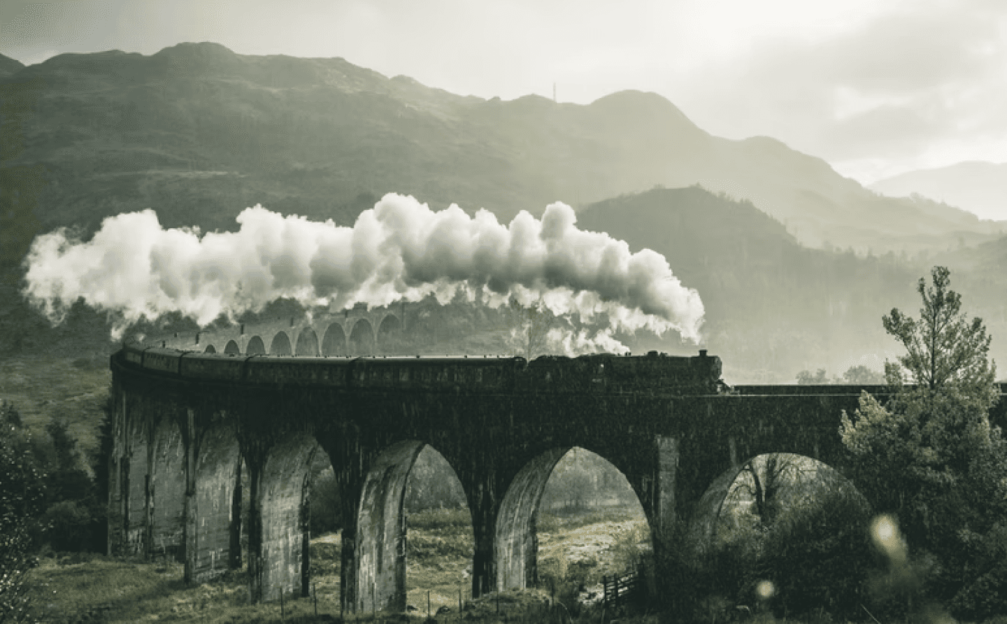 tour header